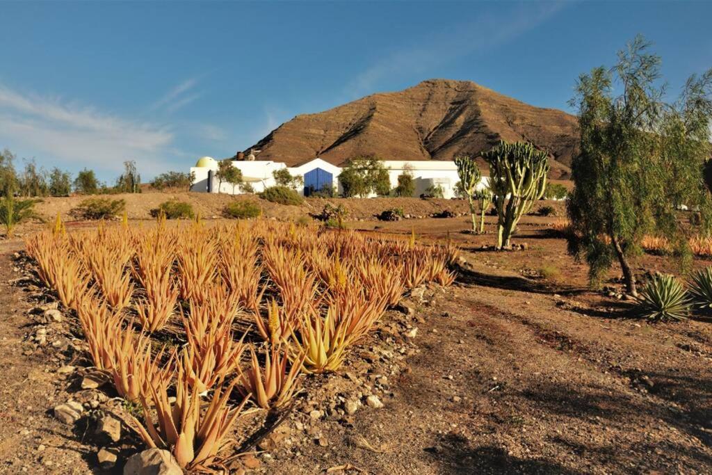 Romantica Fuego - Eco Retreat Finca Artis Tirma Tarajalejo Eksteriør billede